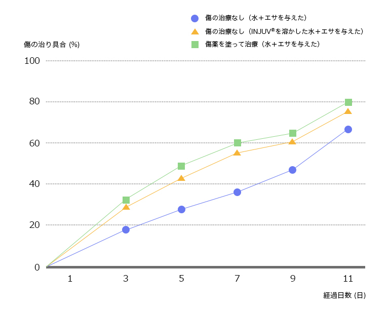 創傷治癒効果マウス試験結果